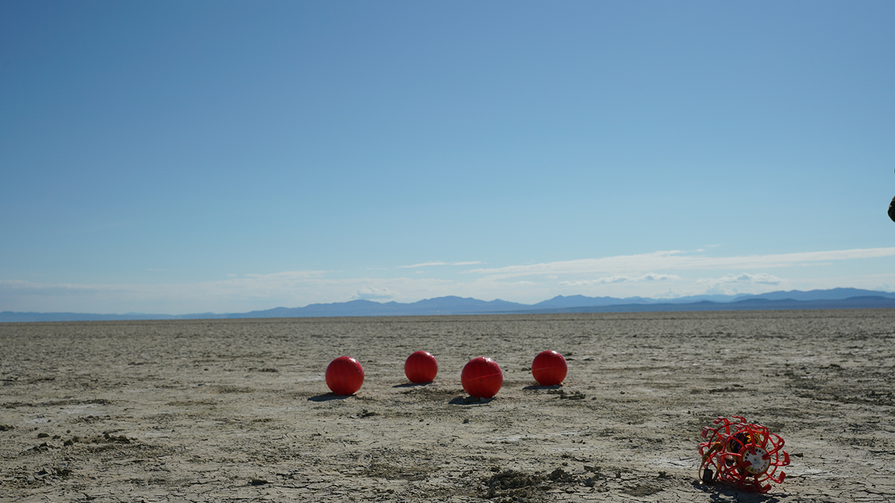 arliss2025_06