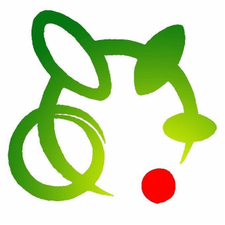 Akita University Student Space Project